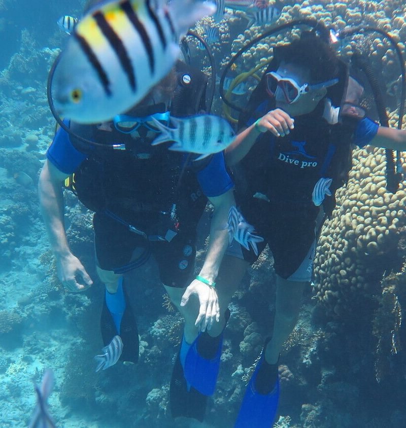 Hurghada-Diving